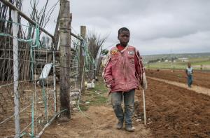 epa03983392 A South African boy walks through a field being ploughed near the home of the late South African president Nelson Mandela in his ancestral village of Qunu, South Africa, 09 December 2013. The former South African president and anti-Apartheid icon died after a long illness 05 December at the age of 95. He will be buried at his ancestral home in Qunu on 15 December 2013.  EPA/NIC BOTHMA