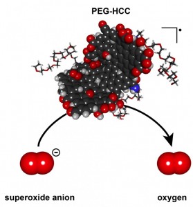 Le nano particelle PEG-HCC, in grado di neutralizzare la sovrapproduzione di radicali liberi. I primi test hanno dati esiti molto incoraggianti.
