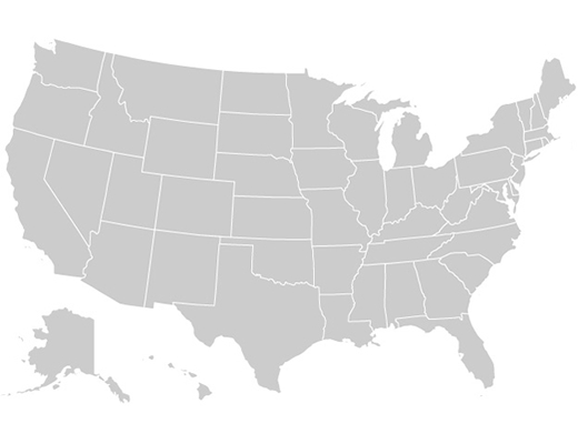 Dalla Florida all’Ohio, le elezioni Stato per Stato