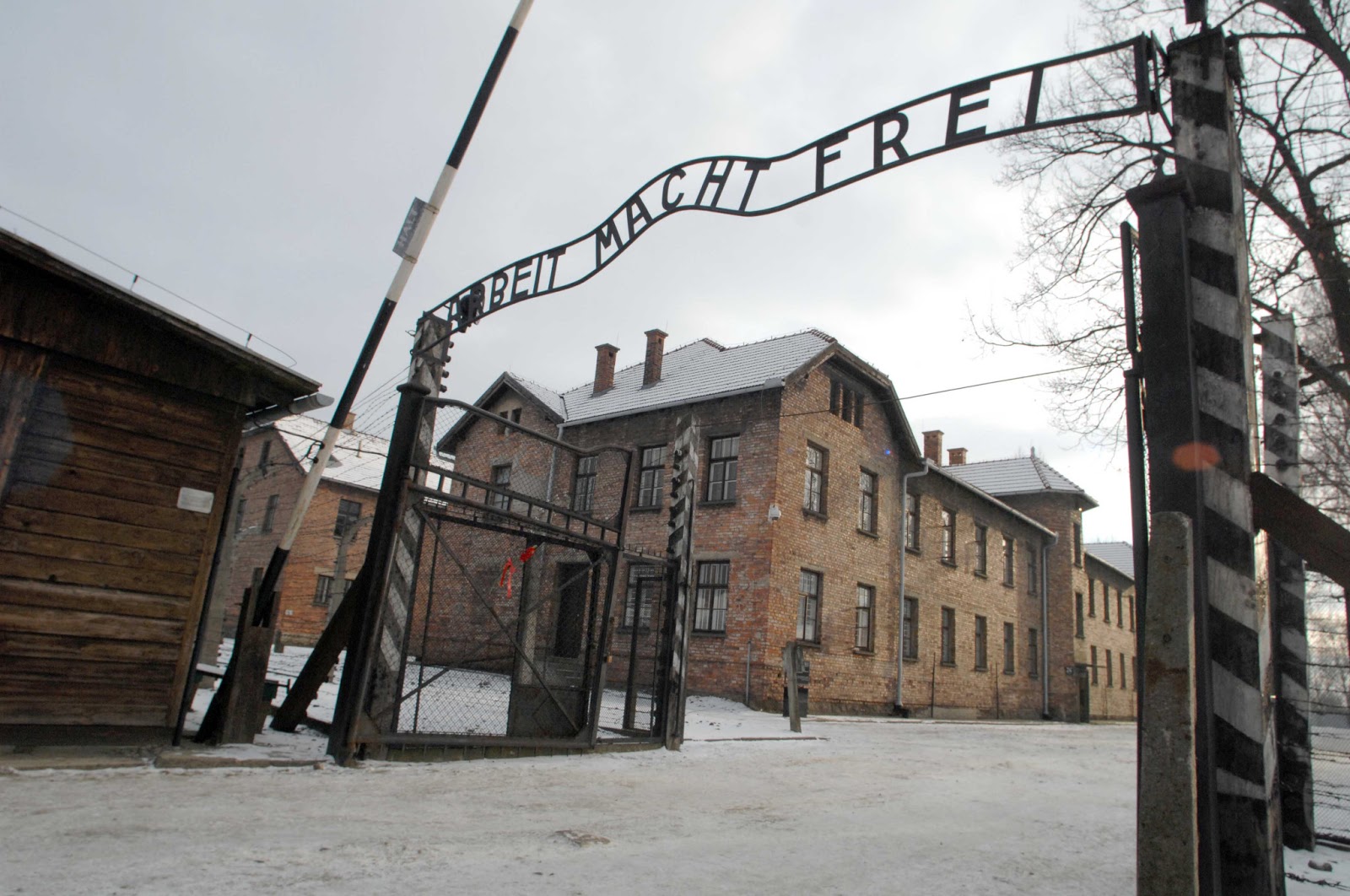 Ottant’anni fa la liberazione di Auschwitz: le origini della Giornata della Memoria