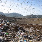 Una discarica (ilfaroonline.it)