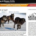 blog grillo