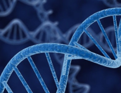 Tert, il gene “dell’immortalità” è alleato dei tumori?