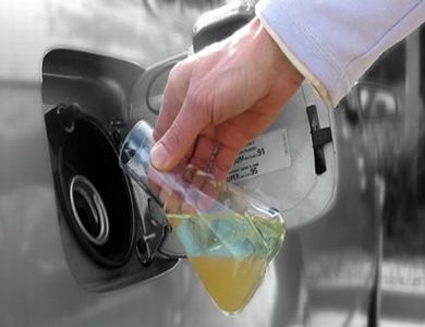 Il nuovo diesel? È a base di batteri transgenici
