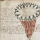 Il manoscritto di Voynich “non è un falso, ma un codice”