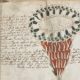 Il manoscritto di Voynich “non è un falso, ma un codice”