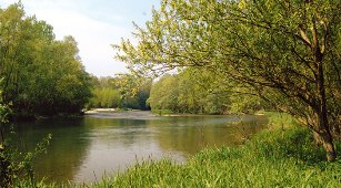 Una discarica nel Parco del Ticino, sequestrato campo rom