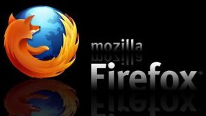 Firefox compie dieci anni e introduce il tasto salva privacy