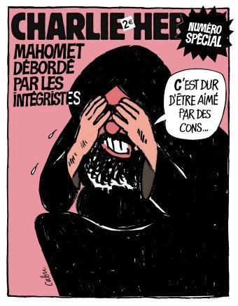 Le vignette anti-islam nel mirino