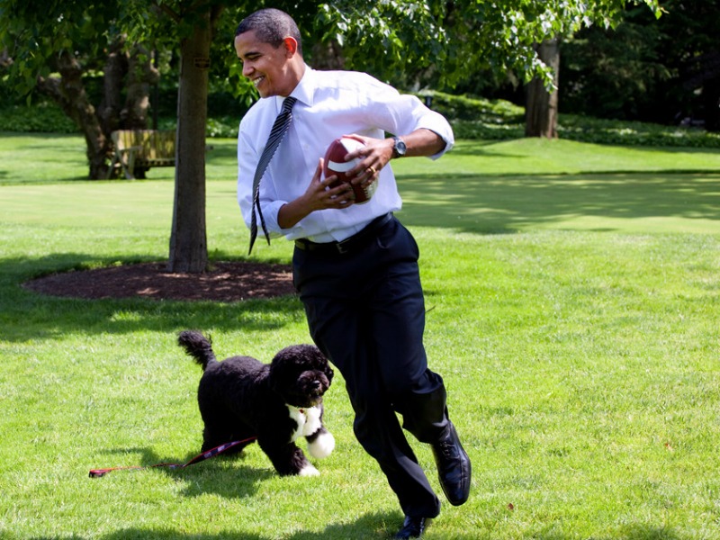 Il presidente degli Stati Uniti Barack Obama gioca con uno dei due cani adottati dopo la vittoria del 2008 (Fonte: Facebook)