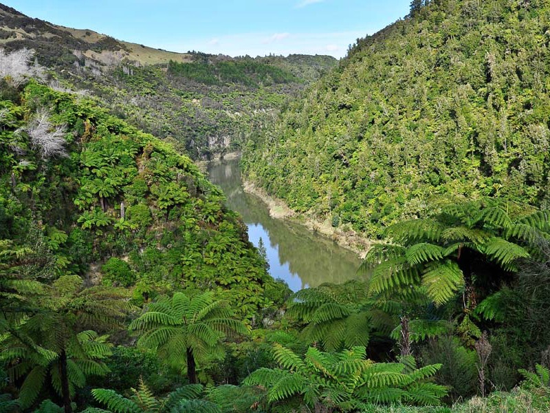 Nuova Zelanda: Whanganui, il fiume Maori che ti può querelare
