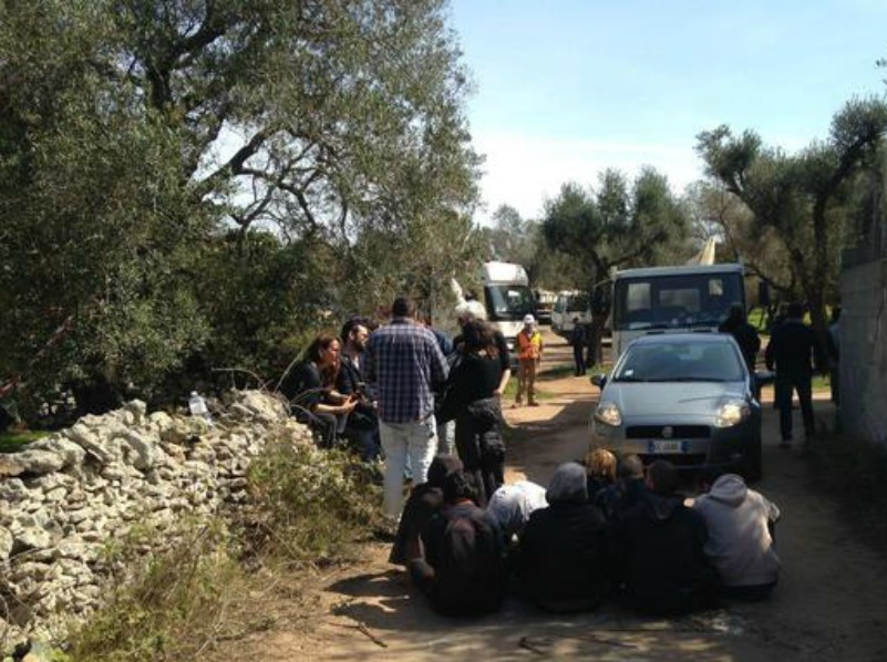 Gasdotto Tap, Emiliano perde la battaglia degli ulivi