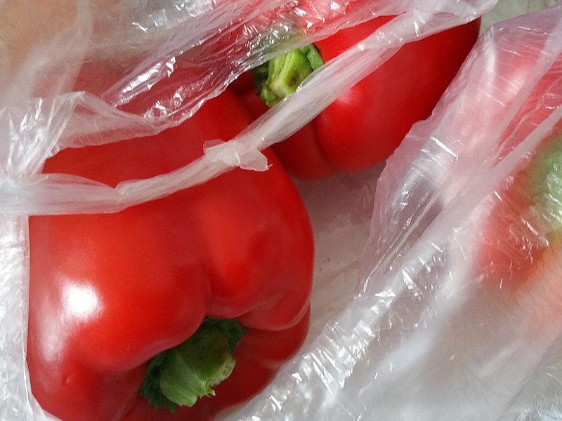 “The bag of contention”: what you need to know about the introduction of the compostable bags