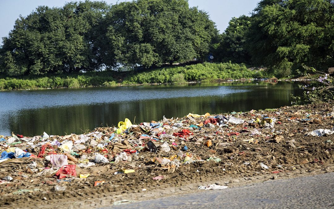 Oggi è il giorno del water, l’Onu celebra il World Toilet Day