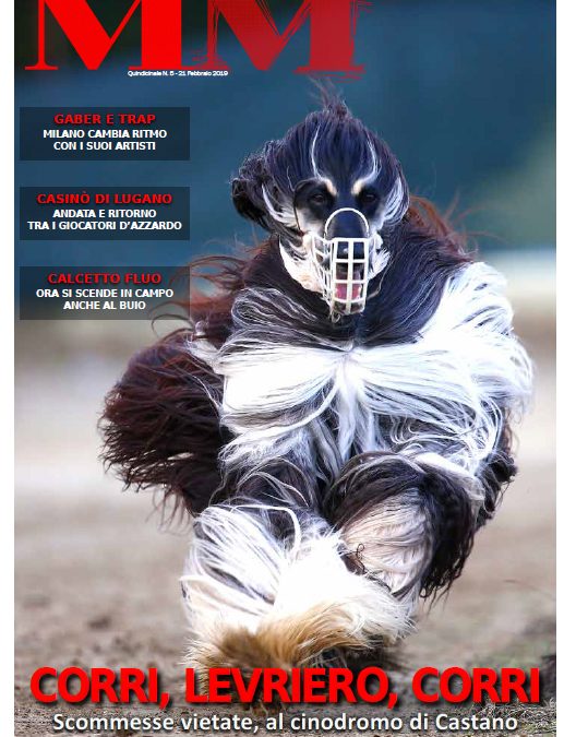 MM n.5 – 21 Febbraio 2019