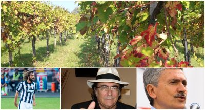 Da Al Bano a Pirlo, la passione delle star è nei vigneti