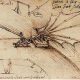 Dall’ornitottero al paracadute, le invenzioni più celebri di Leonardo Da Vinci