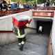 Roma: incastrata tra vagone e banchina, muore una donna sul metrò