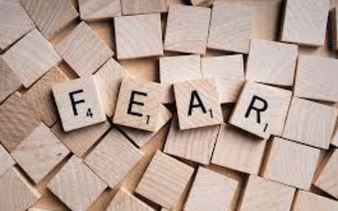 Neuroscienza, la paura si può dimenticare e controllare
