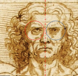 L’uomo Vitruviano? Sono due e convivono grazie a un algoritmo