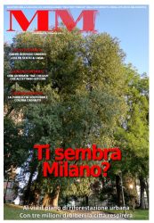 MM n.15 – 13 Dicembre 2019