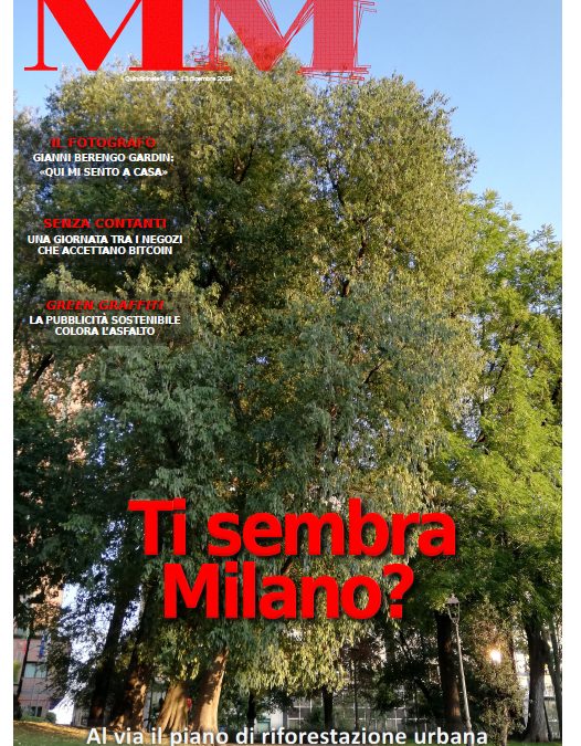 MM n.15 – 13 Dicembre 2019