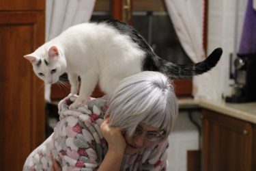 Festa nazionale del gatto, il 17 febbraio si rende omaggio al felino più amato
