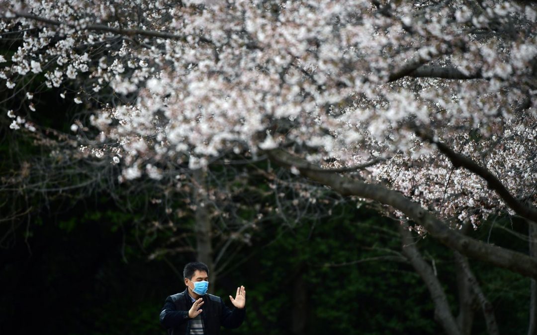 Coronavirus: a Wuhan nessun nuovo caso, 39 i contagi importati