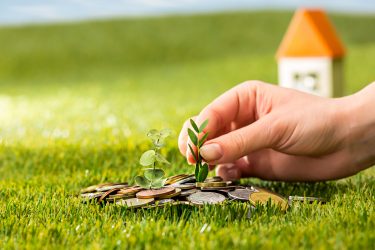 Coronavirus, il Green deal italiano per l’economia: «Ripresa attraverso l’ambiente»