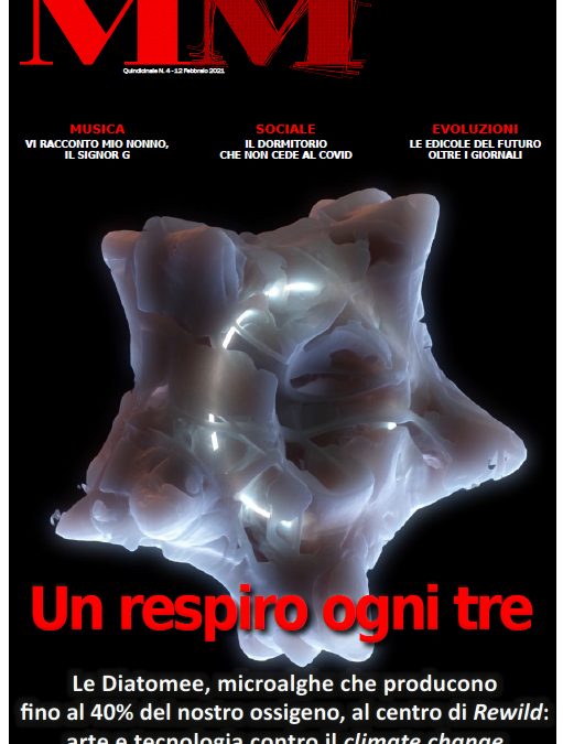 MM n.4 – 12 Febbraio 2021
