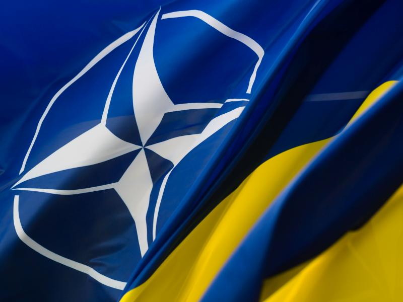 Vertice Nato, Ucraina ancora fuori dall’agenda. Kiev: «Noi avamposto della democrazia»