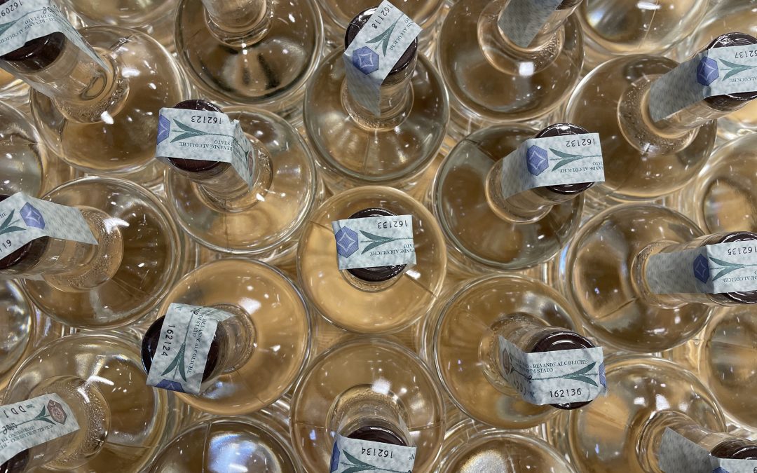 La febbre del Gin