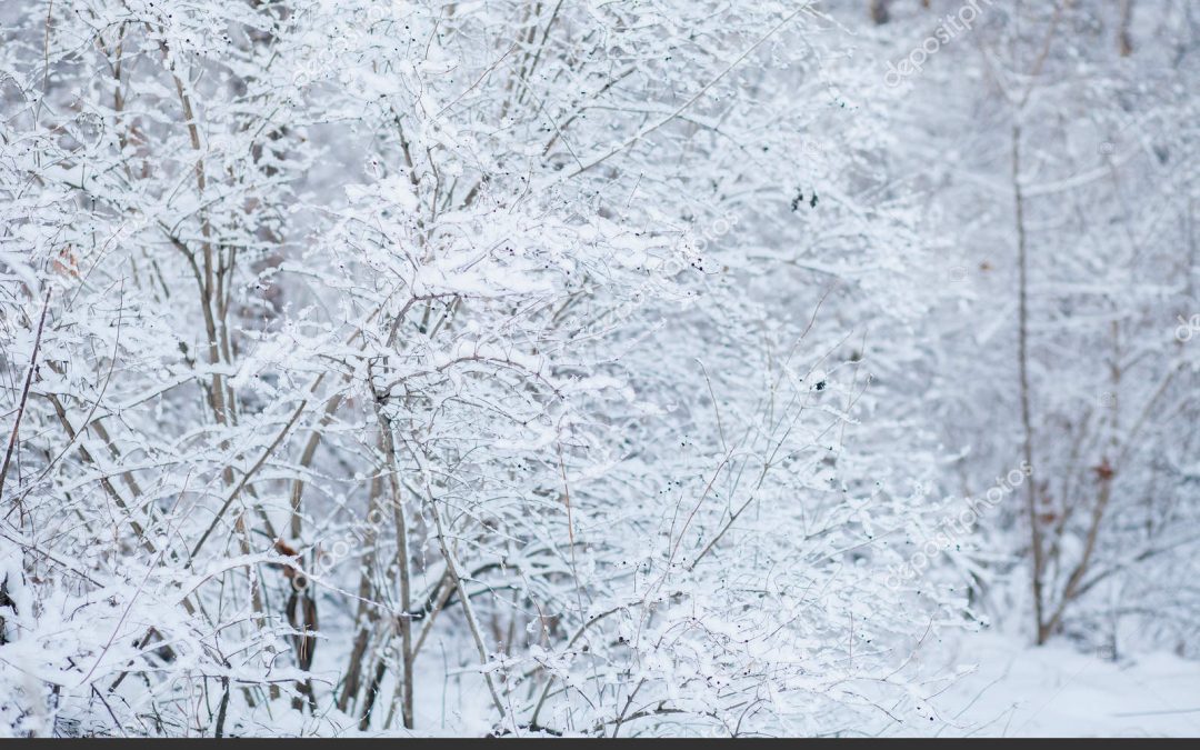 Vento forte, piogge abbondanti e qualche nevicata: è in arrivo il ciclone Thor