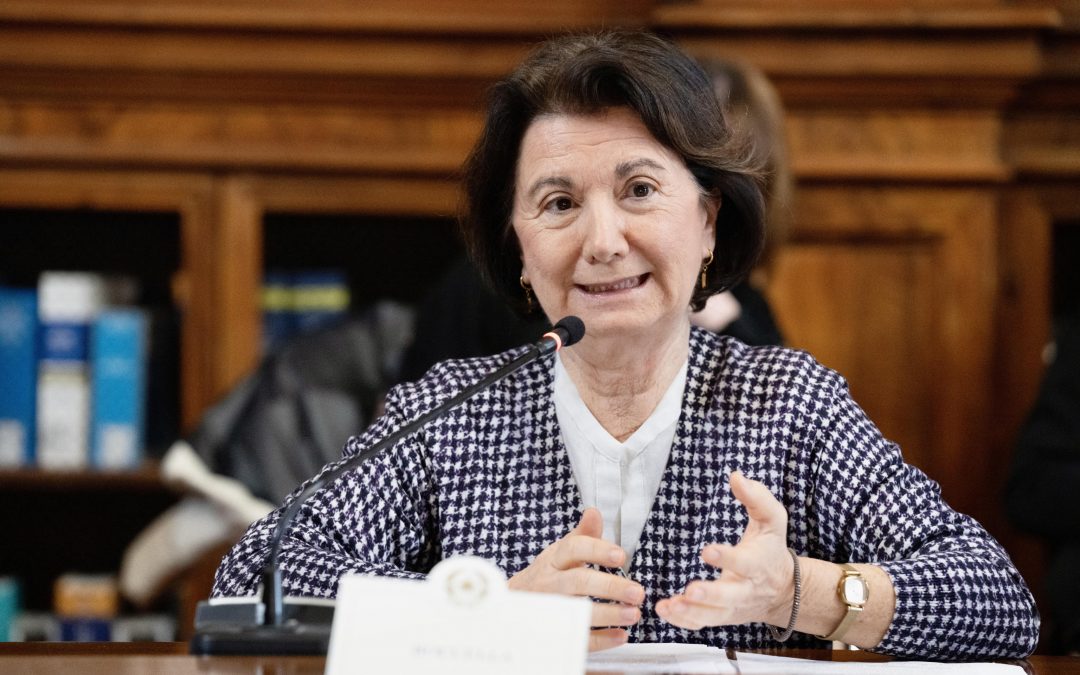 Maternità surrogata, il Governo non arretra: “Misura ideologica”
