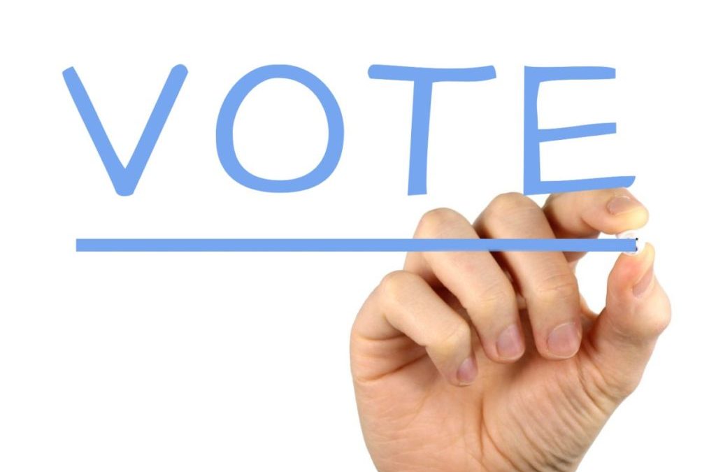 +Europa, proposta per facilitare il voto ai fuorisede: «Ultimi in Europa»