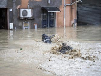 Emilia-Romagna sott’acqua, il racconto per immagini / FOTO