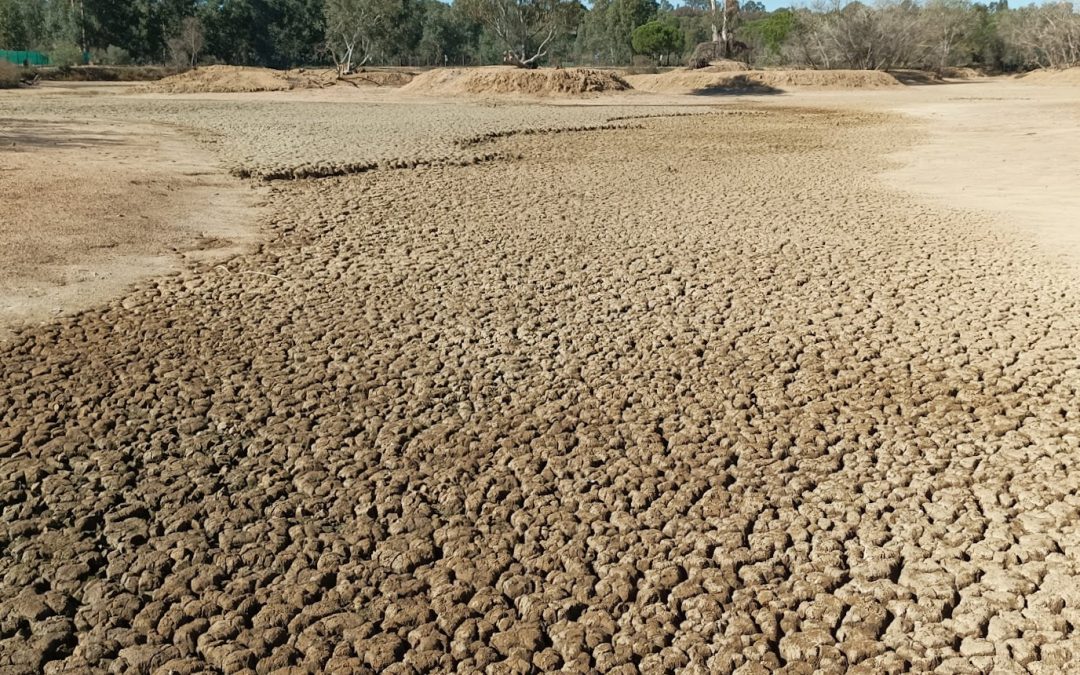 In Spagna è allarme siccità: caldo record e niente acqua