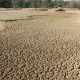 In Spagna è allarme siccità: caldo record e niente acqua
