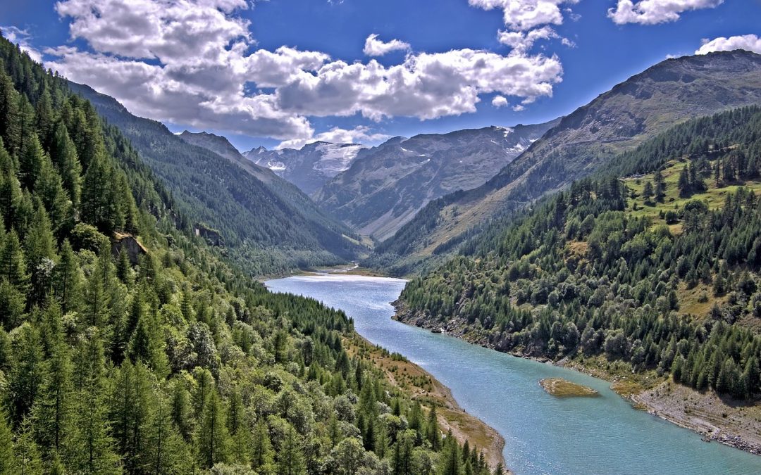 Giornata mondiale dell’ambiente: Italia leader nelle rinnovabili, ma inciampa sulle emissioni