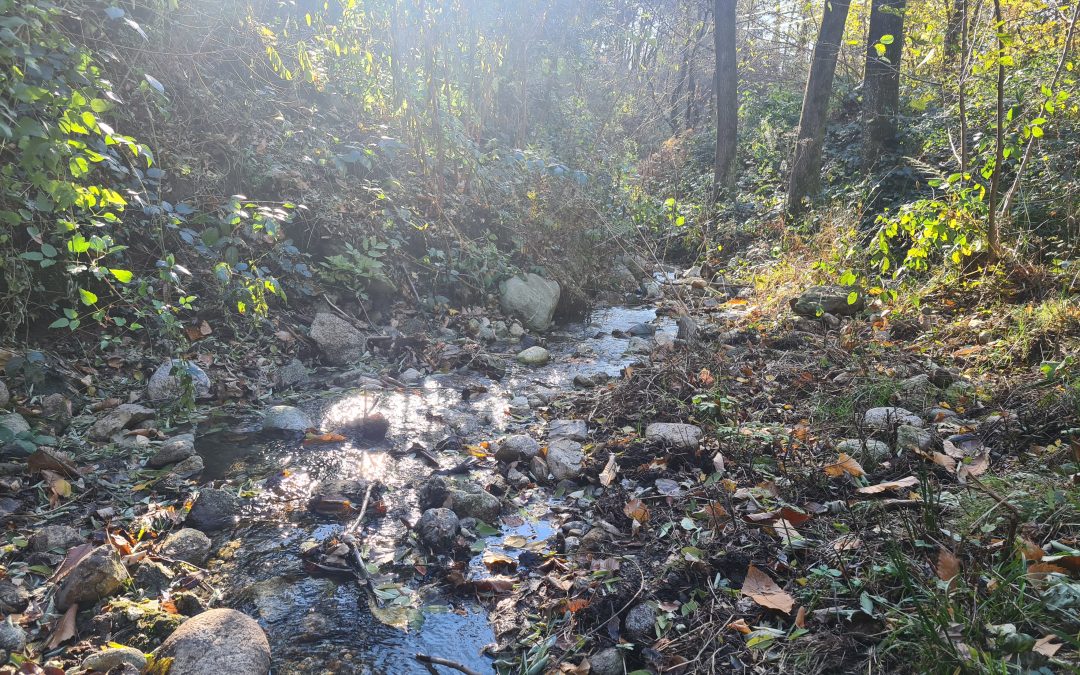 Il torrente incatenato