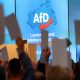Germania, la trama segreta di AfD e neonazisti per espellere milioni di stranieri