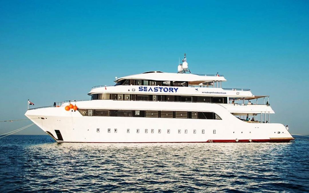 Naufragio nel Mar Rosso: nave turistica affonda con 31 turisti e 14 marinai