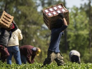 Decreto flussi: migranti regolari