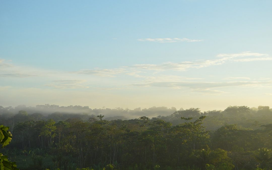 «Respirare è un diritto»: la Cop30 apre a Belém tra promesse e contraddizioni