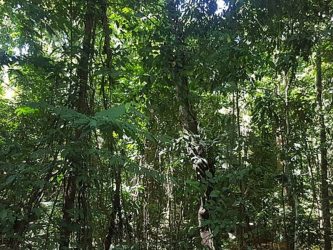 Il Tribunale interviene e separa la famiglia che viveva isolata nei boschi di Chieti. La coppia: «I bambini soffrono, non siamo fuorilegge»