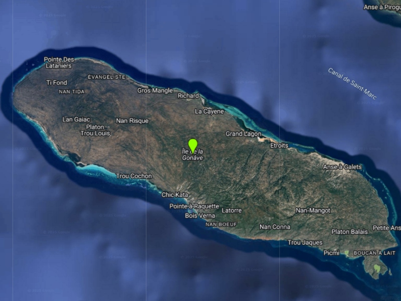 Volevano invadere un’isola, uccidere gli uomini e rendere schiave le donne: due ventenni texani arrestati