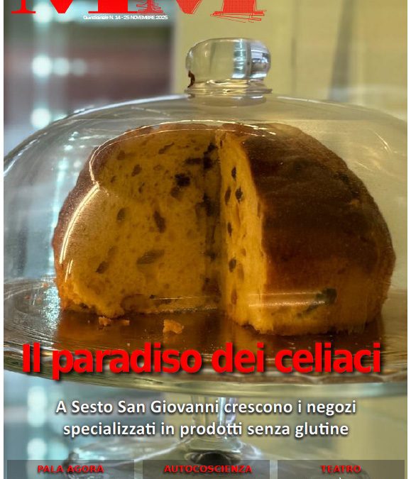 MM n.14 – 25 novembre 2025